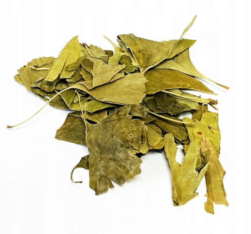 Bạch Quả Thảo (Folium ginkgo)