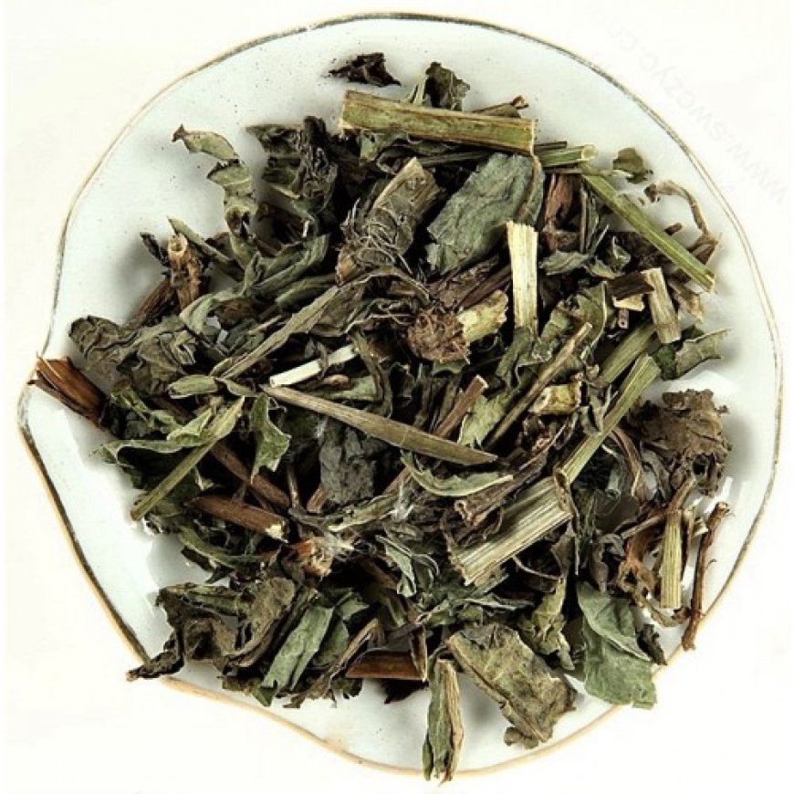 Bại Tương Thảo (Herba cum Radice Patriniae)