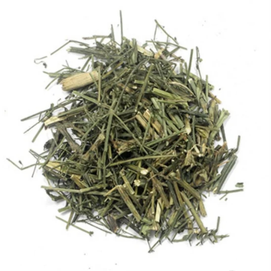 Xuyên Tâm Liên (Herba Andrographis)