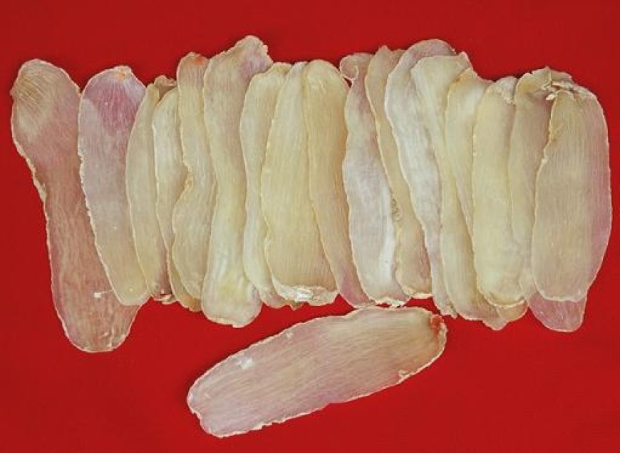 Vị thuốc Thiên Ma (Rhizoma Gasrodiae)