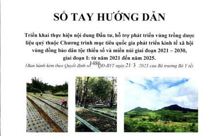 Giới thiệu Cuốn Sổ Tay Hướng Dẫn Triển Khai Đầu Tư và Phát Triển Vùng Trồng Dược Liệu