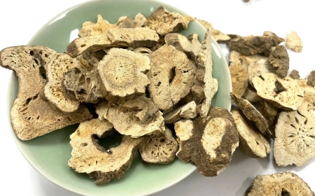 Thương Truật (Rhizoma Atractylodis): Kiện Tỳ, Táo Thấp và Tán Phong Thấp Hiệu Quả