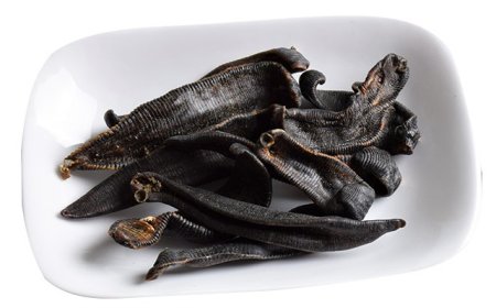 Thủy Điệt (Hirudo seu Whitmaniae): Vị Thuốc Đông Y Chữa Ứ Huyết và Tiêu Ung