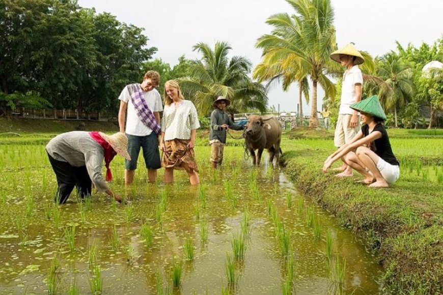 8. Mở dịch vụ du lịch trải nghiệm nông thôn