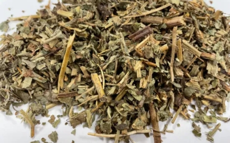 Vị thuốc Tiên Hạc Thảo (Herba et Gemma Agrimoniae)