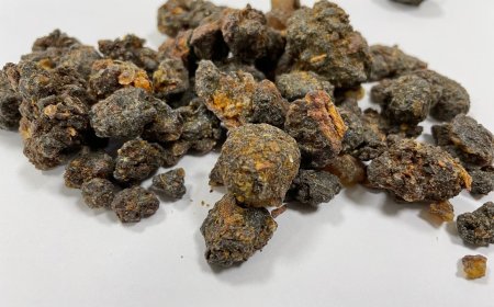 Khám phá Một Dược: Công dụng và cách sử dụng vị thuốc quý trong y học cổ truyền