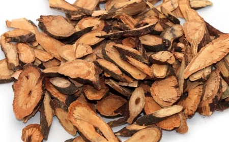 Dạ Giao Đằng (Caulis Polygoni Multiflori): Công Dụng và Đặc Tính