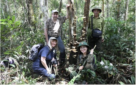 Phát Hiện 5 Loài Nấm Mới Tại Việt Nam: Bước Tiến Mới Trong Nghiên Cứu và Bảo Tồn Nấm Lớn
