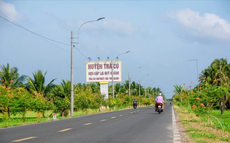 Thông Báo Lựa Chọn Đơn Vị Chủ Trì Liên Kết Thực Hiện Dự Án Đầu Tư Phát Triển Vùng Trồng Dược Liệu Quý Tại Huyện Trà Cú, Tỉnh Trà Vinh