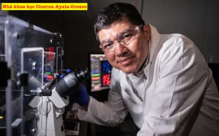 Tiêu diệt tế bào ung thư bằng ánh sáng cận hồng ngoại: Bước tiến mới trong điều trị