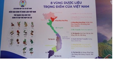 Quy Hoạch 8 Vùng Dược Liệu Trọng Điểm của Việt Nam