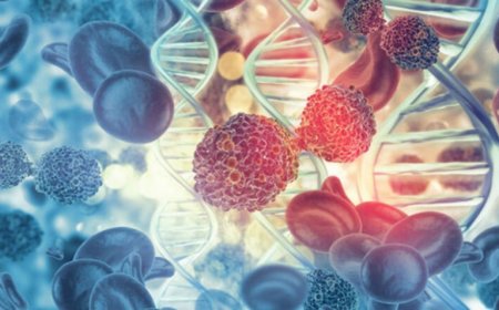 5 Bệnh Viêm Nhiễm Phổ Biến Có Thể Phát Triển Thành Ung Thư