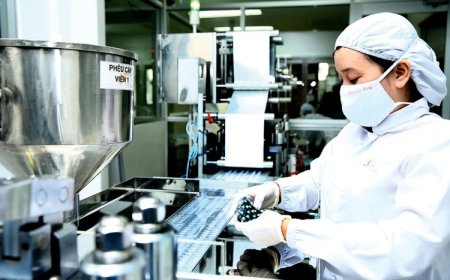 Thị Trường Dược Liệu Việt Nam và Quốc Tế: Tiềm Năng và Thách Thức