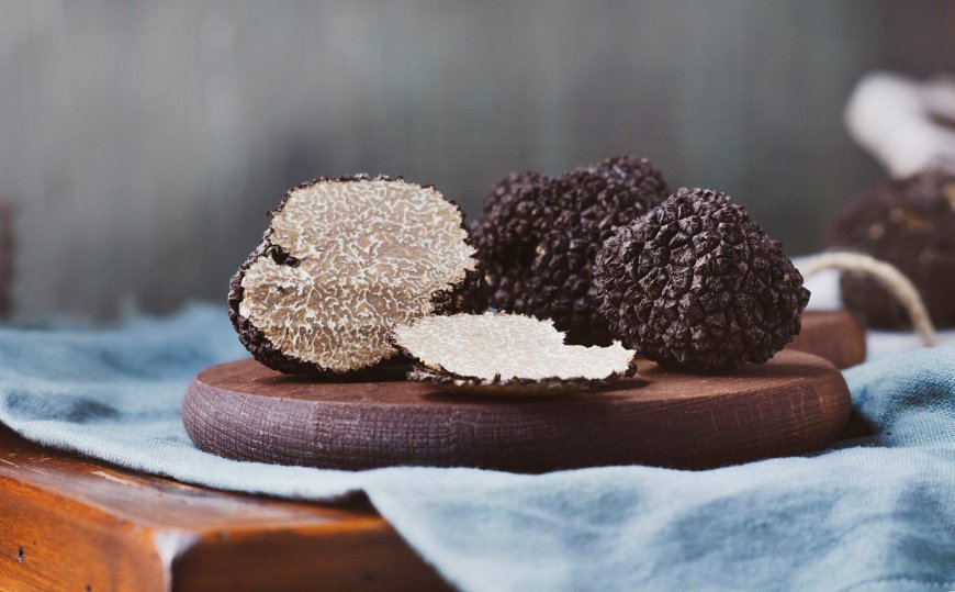 Nấm Truffle: Viên Ngọc Quý Trong Ẩm Thực và Những Lợi Ích Sức Khỏe Đã Được Nghiên Cứu