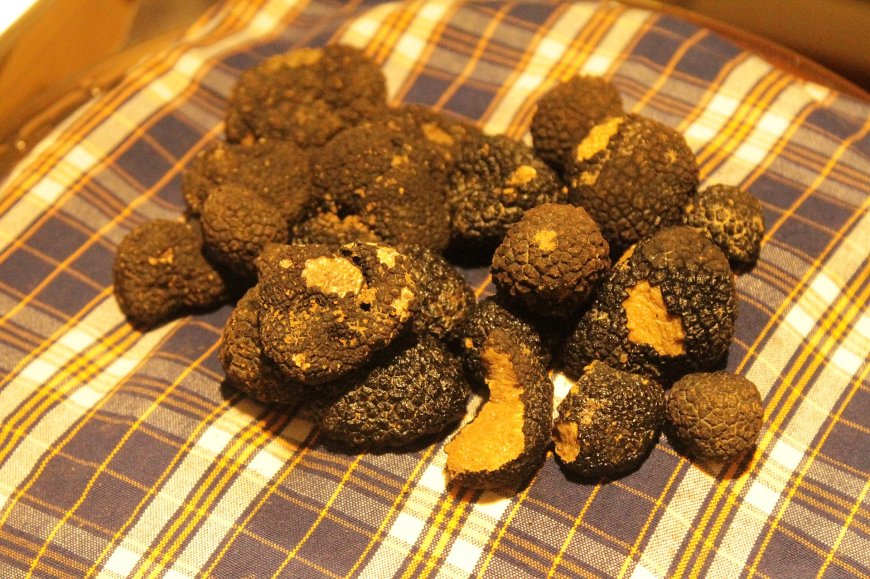 Nấm Truffle: Viên Ngọc Quý Trong Ẩm Thực và Những Lợi Ích Sức Khỏe Đã Được Nghiên Cứu