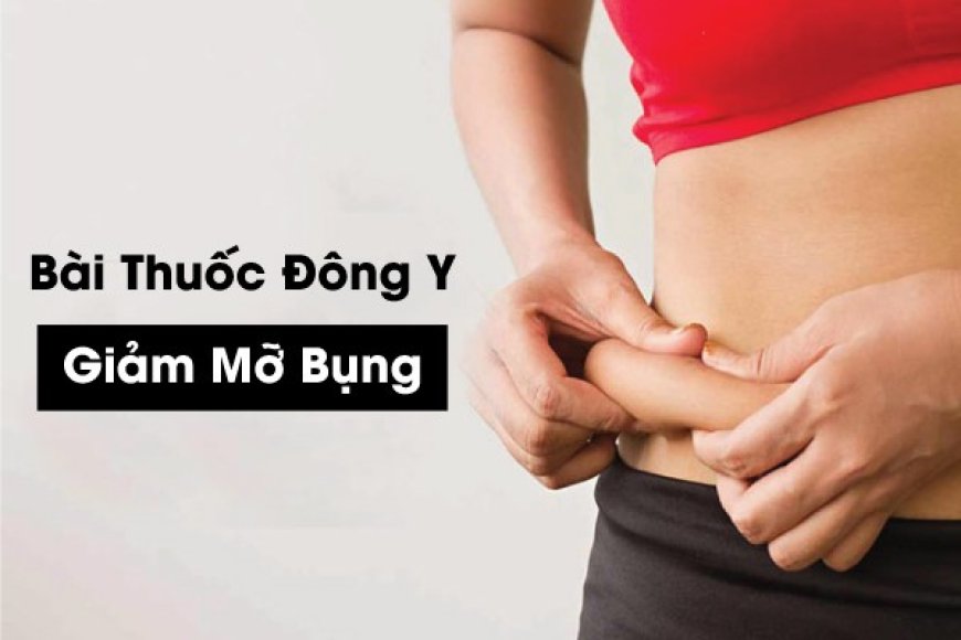 Các Bài Thuốc Đông Y Hiệu Quả Hỗ Trợ Giảm Béo