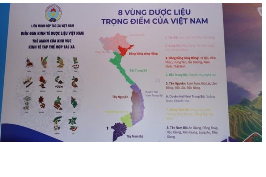 Quy Hoạch 8 Vùng Dược Liệu Trọng Điểm của Việt Nam