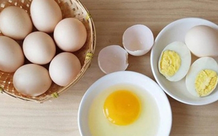 Tác Động Của Trứng Đối Với Chức Năng Nhận Thức Và Sức Khỏe: Nghiên Cứu Mới Và Những Khuyến Cáo Quan Trọng