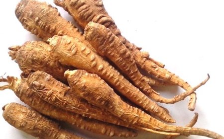 Bảy Dẫn Xuất 3,4-Dihydro-Furanocoumarin Mới Từ Cây Bạch Chỉ (Angelica Dahurica)