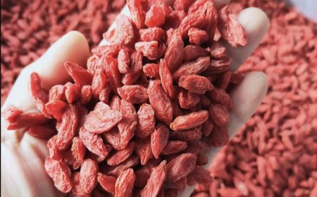 Kỷ Tử Đỏ – Bí Quyết Tăng Cường Sức Khỏe Sinh Sản Nam Giới