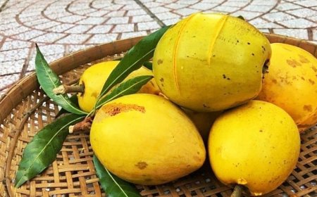 Lêkima – Trái cây quý với công dụng bất ngờ cho sức khỏe và sắc đẹp