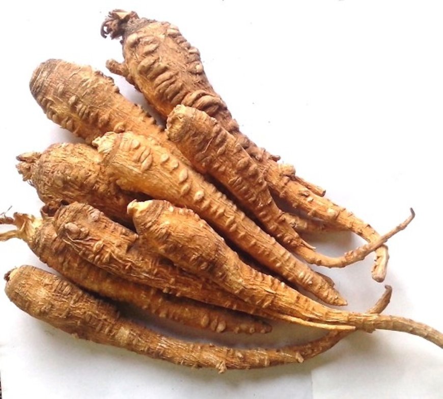 Bảy Dẫn Xuất 3,4-Dihydro-Furanocoumarin Mới Từ Cây Bạch Chỉ (Angelica Dahurica)