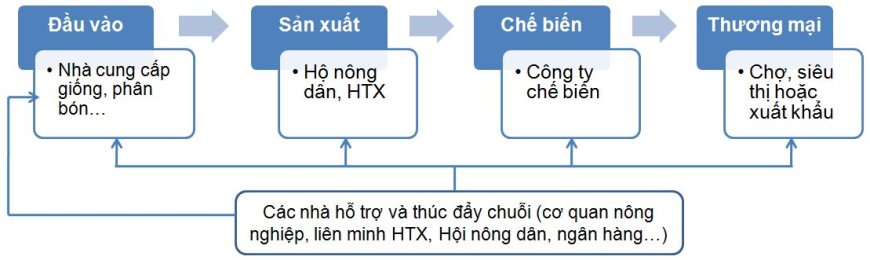 Chuỗi Liên Kết – Giải Pháp Phát Triển Kinh Tế Bền Vững Trong Sản Xuất Nông Nghiệp, Dược Liệu và Chăn Nuôi