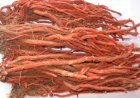 Đan Sâm – Vị Thuốc Quý Với Nhiều Lợi Ích Cho Sức Khỏe