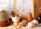 Hiểu Về Thể Tạng Hàn – Nhiệt Để Sử Dụng Đông Dược Hiệu Quả