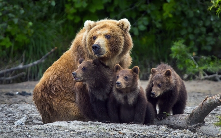 Cơ chế giúp phụ nữ có khả năng mang thai nhưng có thể trì hoãn: Những phát hiện mới của khoa học