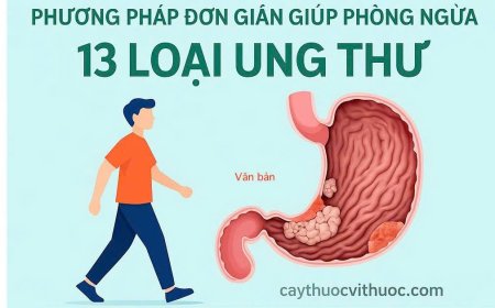 7.000 Bước Chân Mỗi Ngày – Phương Pháp Đơn Giản Giúp Phòng Ngừa 13 Loại Ung Thư