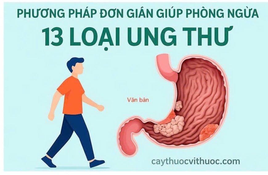 7.000 Bước Chân Mỗi Ngày – Phương Pháp Đơn Giản Giúp Phòng Ngừa 13 Loại Ung Thư