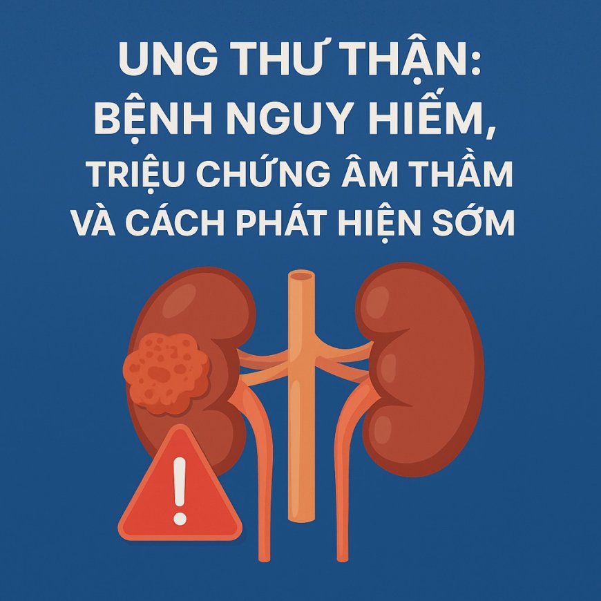 Ung Thư Thận: Bệnh Nguy Hiểm, Triệu Chứng Âm Thầm Và Cách Phát Hiện Sớm