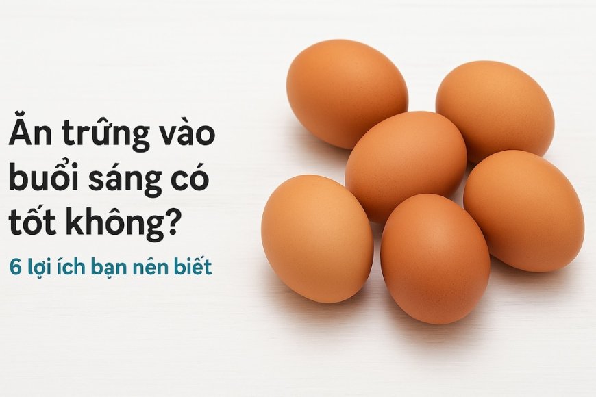 Mỗi sáng ăn 1–2 quả trứng gà có tốt không? Lợi ích bất ngờ cho sức khỏe mà bạn nên biết
