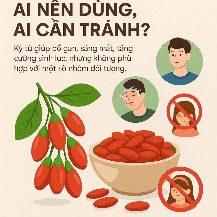 Kỷ Tử – 'Thần Dược' Bổ Gan, Sáng Mắt, Tăng Cường Sinh Lực: Ai Nên Dùng, Ai Cần Tránh?