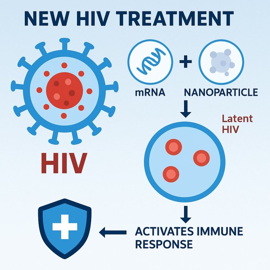 Bước Đột Phá Trong Điều Trị HIV: Liệu Pháp mRNA Mới Hứa Hẹn Loại Bỏ Virus Vĩnh Viễn