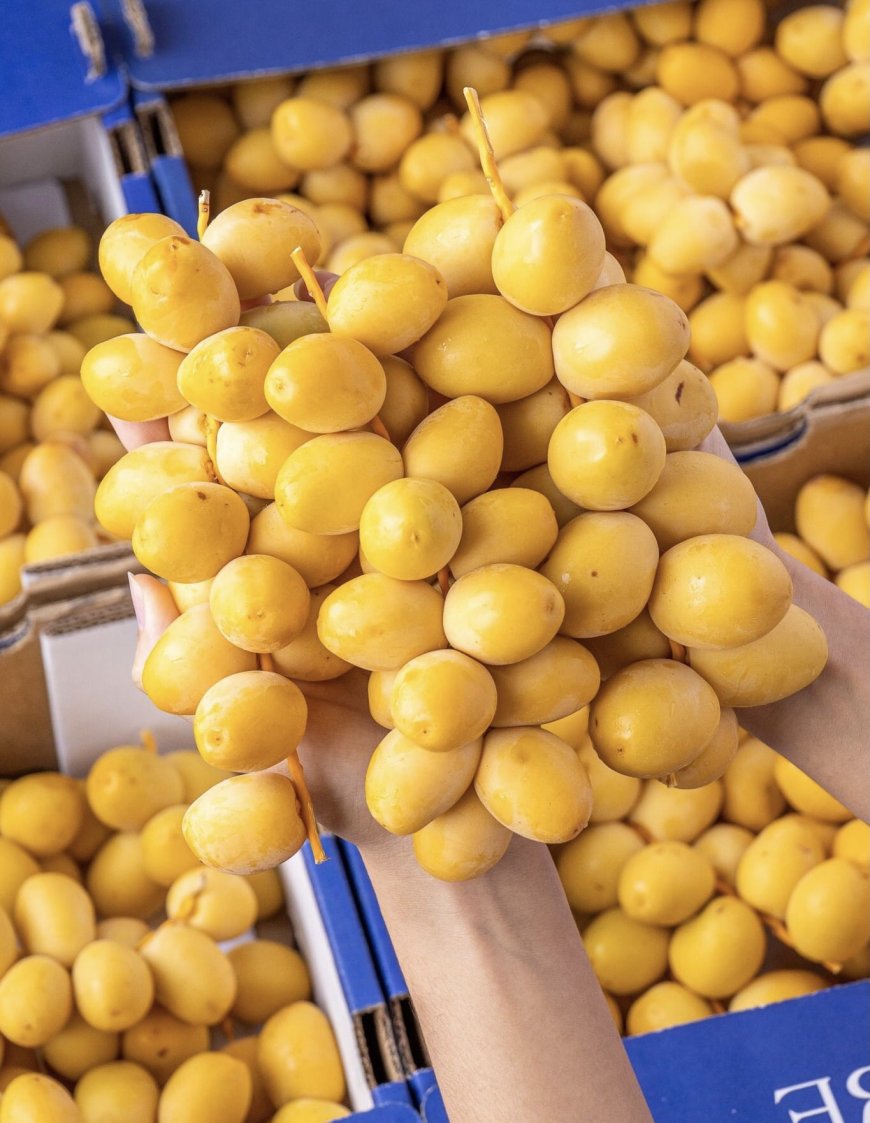 Khám Phá 12 Tác Dụng Tuyệt Vời Của Quả Chà Là – Loại “Siêu Thực Phẩm” Từ Thiên Nhiên