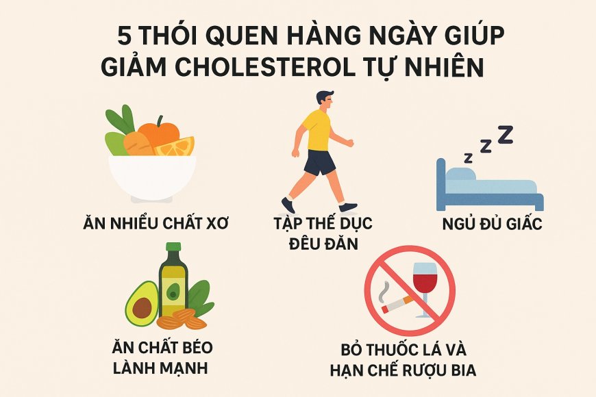 5 Thói Quen Hàng Ngày Giúp Giảm Cholesterol Tự Nhiên