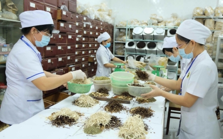 Nhiều bài thuốc quý nghìn đời đang bị loại khỏi hệ thống điều trị