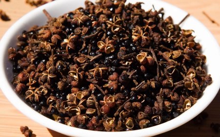 Mắc khén: Gia vị Tây Bắc và tiềm năng trở thành dược liệu quý của Việt Nam