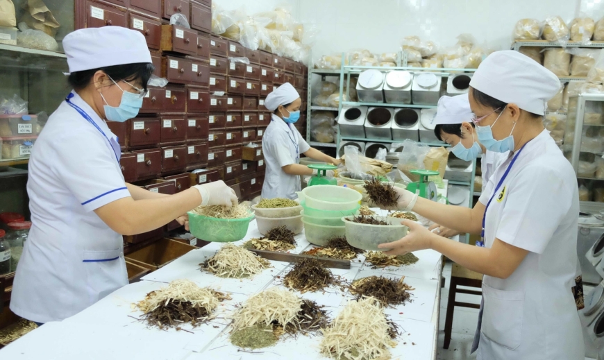 Nhiều bài thuốc quý nghìn đời đang bị loại khỏi hệ thống điều trị