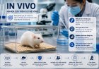 In vivo là gì? Vì sao nghiên cứu trên động vật vẫn chưa đủ để khẳng định hiệu quả trên người?