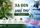 Xạ đen và ung thư: Các nghiên cứu khoa học đã đi đến đâu?