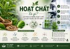 Hoạt chất là gì? Có phải cứ nhiều hoạt chất là cây thuốc sẽ tốt hơn?