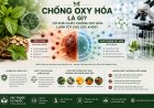 Chống oxy hóa là gì? Có phải chất chống oxy hóa luôn tốt cho sức khỏe?