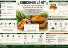 Curcumin là gì? Vì sao hoạt chất nổi tiếng của Nghệ vàng lại khó hấp thu?