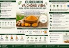 Curcumin và chống viêm: Khoa học đã chứng minh đến đâu?