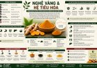 Nghệ vàng và hệ tiêu hóa: Công dụng truyền thống dưới góc nhìn khoa học hiện đại