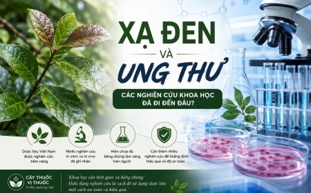 Xạ đen và ung thư: Các nghiên cứu khoa học đã đi đến đâu?