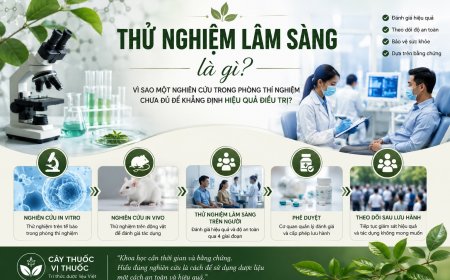Thử nghiệm lâm sàng là gì? Vì sao một nghiên cứu trong phòng thí nghiệm chưa đủ để khẳng định hiệu quả điều trị?